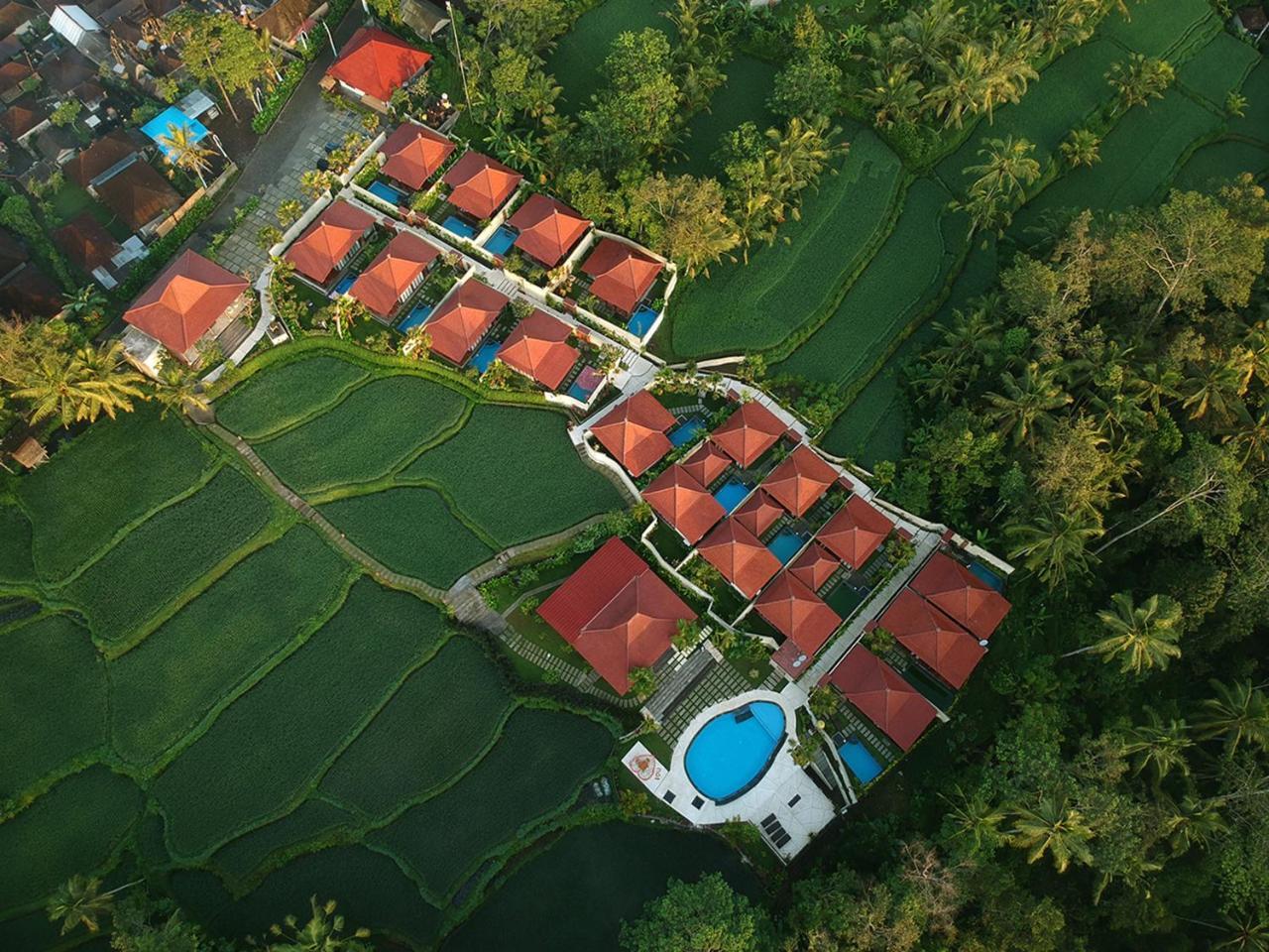 Vrindavan Ubud Villa Tegallalang  Eksteriør bilde